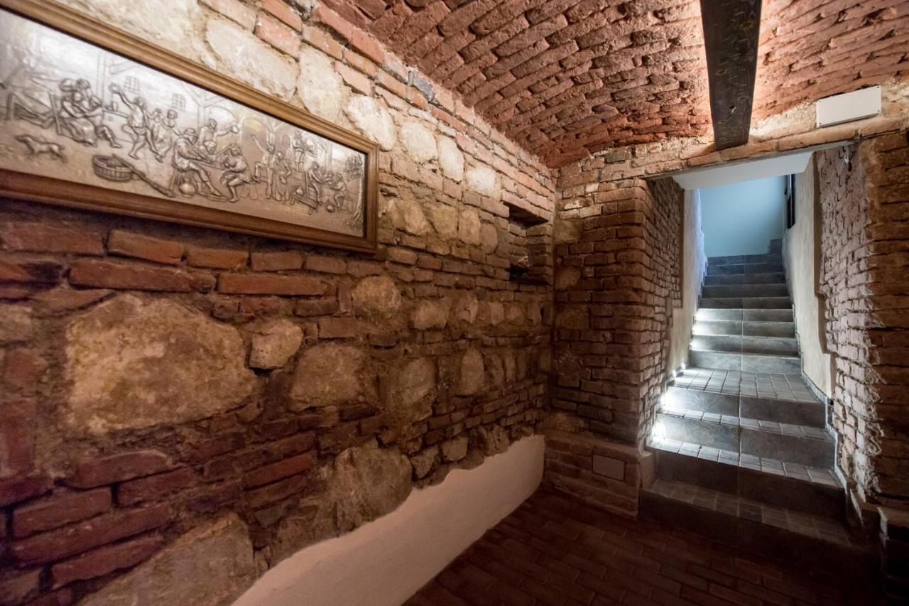 Vila Nicopole Art & Wine Μπρασόβ Εξωτερικό φωτογραφία