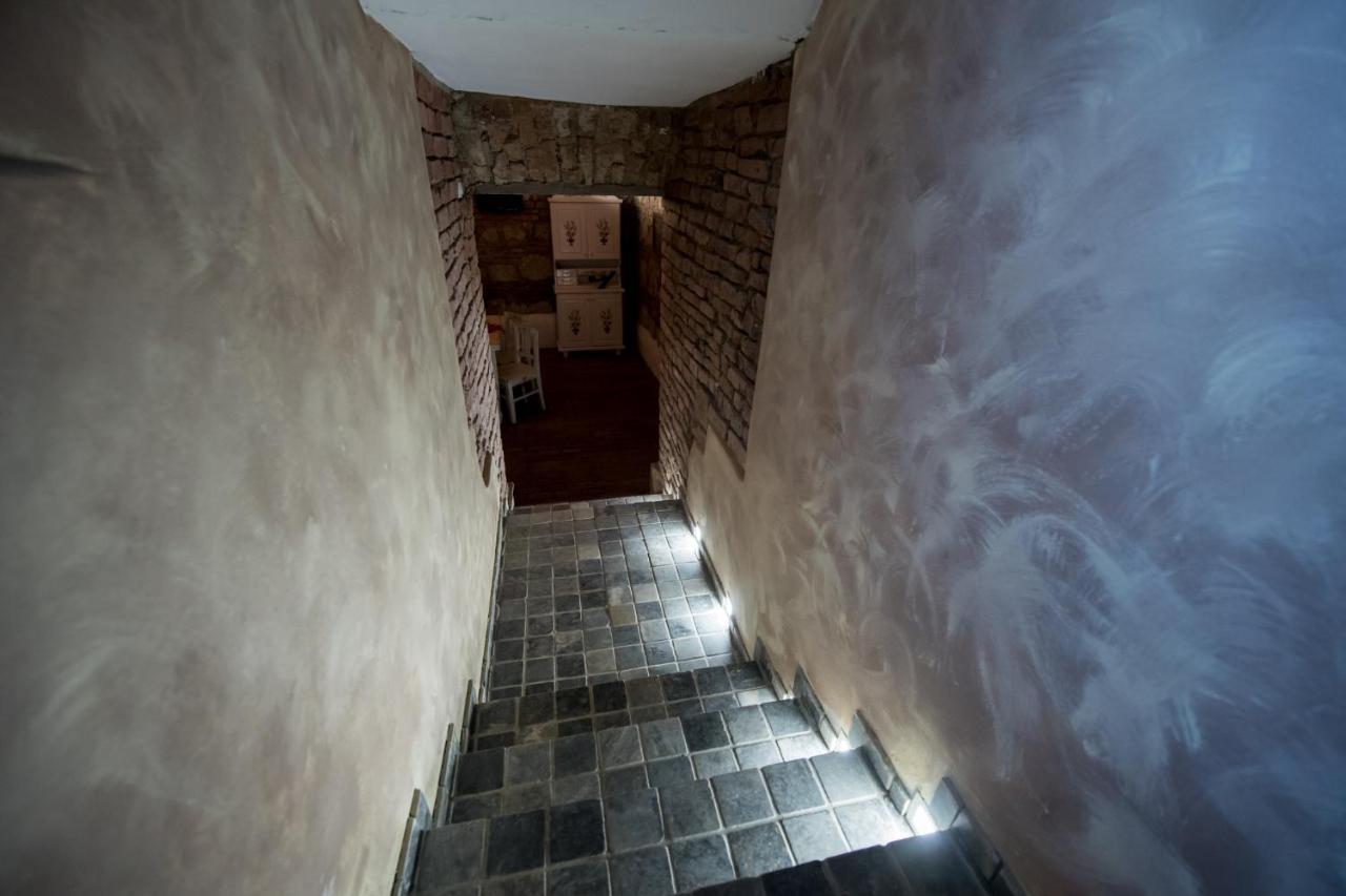 Vila Nicopole Art & Wine Μπρασόβ Εξωτερικό φωτογραφία