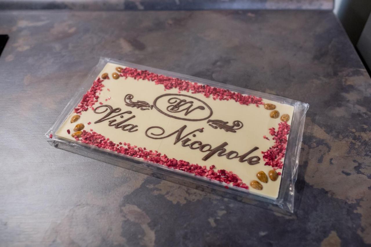Vila Nicopole Art & Wine Μπρασόβ Εξωτερικό φωτογραφία